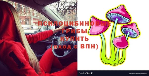 MESCALINE Магадан