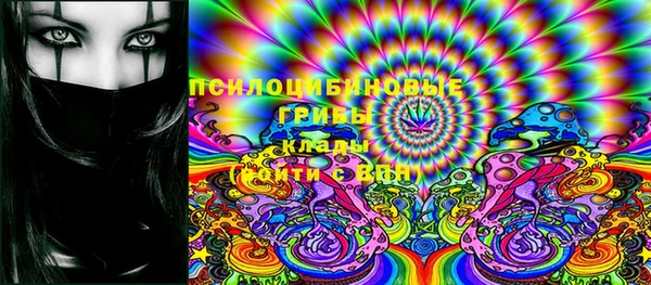 сатива Майский
