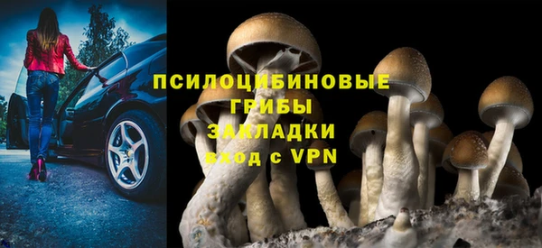 MESCALINE Магадан