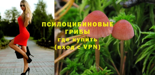 MESCALINE Магадан
