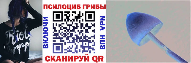 Псилоцибиновые грибы Magic Shrooms  Купить где  Можайск 