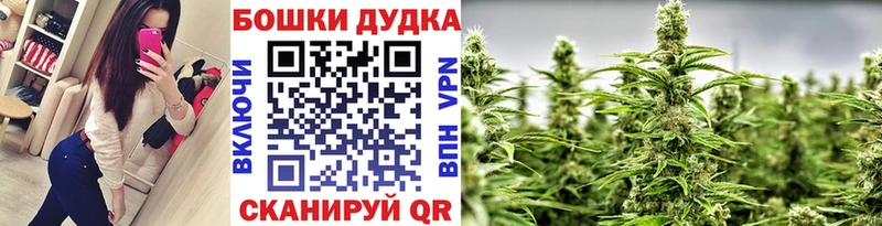 Бошки марихуана гибрид  Купить закладки  Можайск 